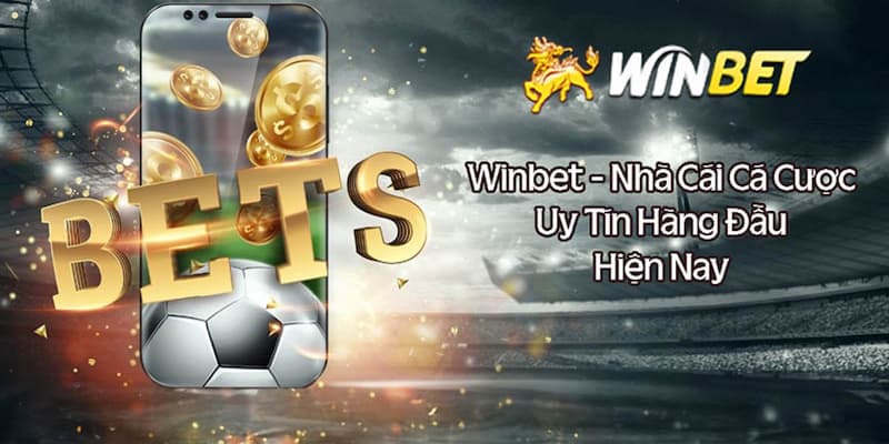 Sơ lược về nhà cái Winbet